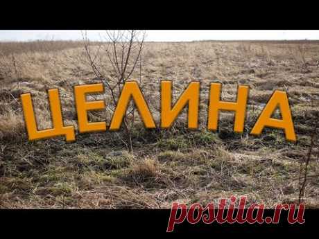 Как облегчить обработку  целины.  Оригинальные способы.