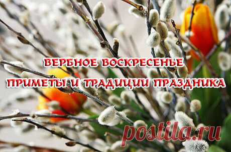 Вербное воскресенье ежегодно отмечается за неделю до Пасхи. В это день принято поздравлять друг друга, посещать службы и святить веточки вербы. Праздник обладает не только богатой историей и большим количеством традиций и обрядов, но и определенными запретами на совершение определённых поступков.