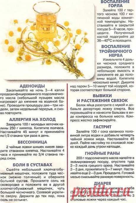 ЗАБЫТЫЕ РЕЦЕПТЫ 





 



 
https://postila.ru/post/9571309


