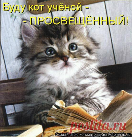 хх