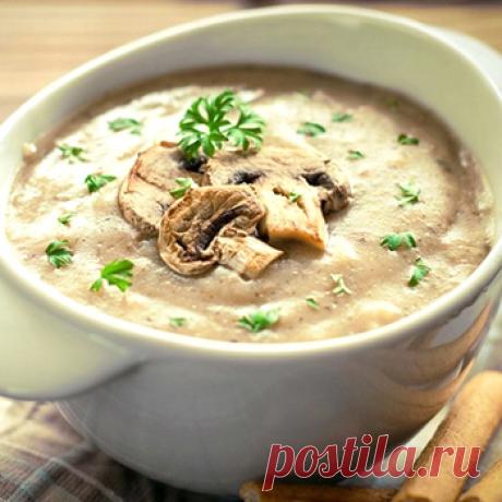 Вкусные грибные супы из шампиньонов: фото и пошаговые рецепты, как приготовить первые блюда Пошаговые рецепты приготовления вкусных грибных супов из шампиньонов: фото и описание