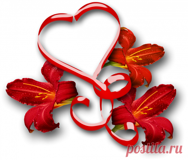 0_15de10_197fc248_orig.png (2500×2124)