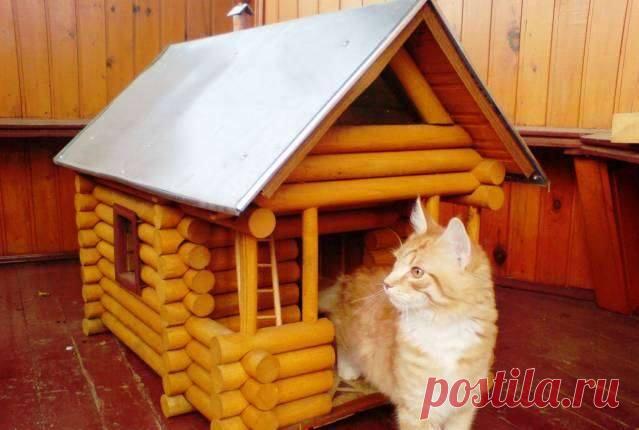 Тема домика для котов и кошек на улице.Хоть как то их согреть в морозы.Забрать их всех в дом не могу (фото 1), да и муж уйдет тогда,а этого я себе позволить не могу.)Может у кого есть опыт или идеи?