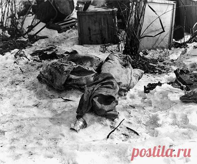 17 января 1950 года незадолго до 19:30 группа вооруженных людей в масках вышла из дома № 165 по Принс-Стрит в Бостоне, штат Массачусетс, волоча за собой мешки с 1 218 211 29 долларами наличными и 1 557 183 83 долларами чеками, денежными переводами и другими ценными бумагами. Эти люди только что совершили “преступление века”, “идеальное преступление", "сказочное ограбление Brink’s". (На сегодня сумма награбленного равна приблизительно $29.5 миллионов).