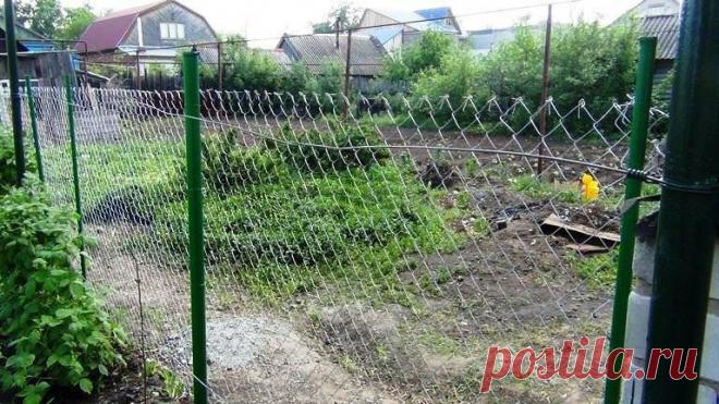 Как же надоели эти любопытные соседи по участку. Решил затемнить забор из сетки рабицы. Три дешёвых и легких способа | Дачный СтройРемонт | Яндекс Дзен