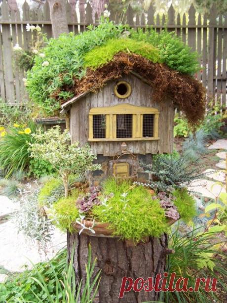 Домик из пня