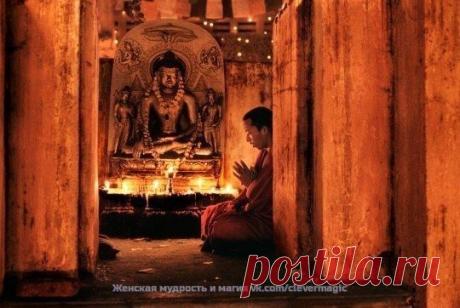 МУДРОСТЬ ВОСТОЧНОЙ МЕДИЦИНЫ. | НАШ ГОРОДОК