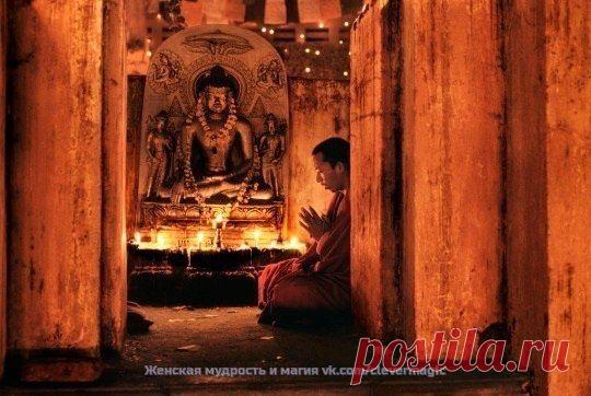 МУДРОСТЬ ВОСТОЧНОЙ МЕДИЦИНЫ. | НАШ ГОРОДОК