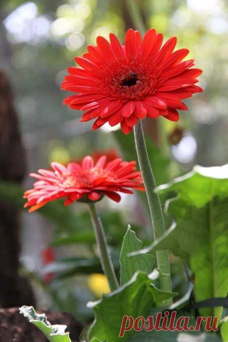 i (640×960)