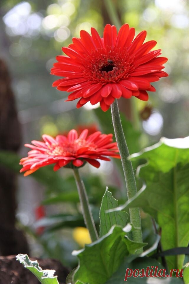 i (640×960)