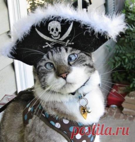 Я самый чистый поросенок!