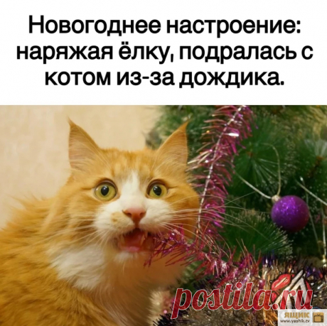 Угарный юмор выходного дня / Картинки: Приколы