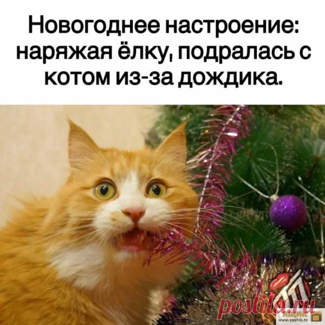 Угарный юмор выходного дня / Картинки: Приколы