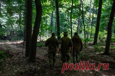 В Херсонской области сообщили о переброске бойцов ВСУ на другое направление
