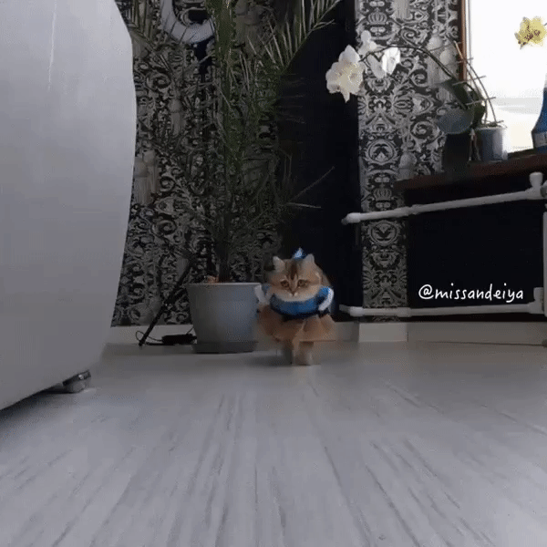 Купила на весну костюмчик....а весны нет!