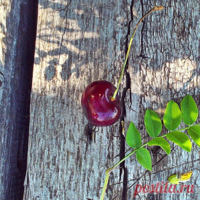 Екатерина Никулина