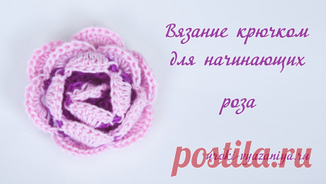 Вязание крючком для начинающих. Как связать розу крючком - YouTube