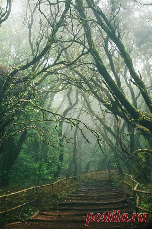 Найдено на сайте woodennest.tumblr.com.