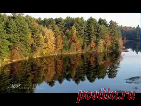 Красота леса | ЛЕС БИСЕРА lesbisera.ru