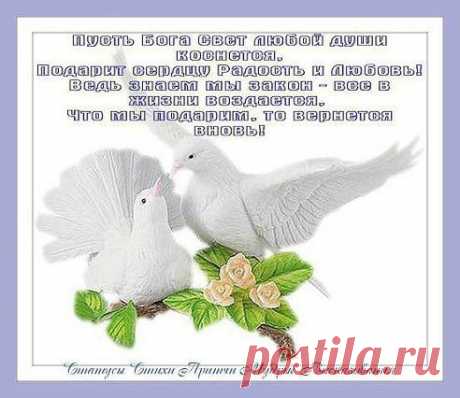 (6) Одноклассники