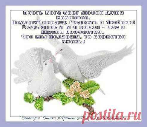 (6) Одноклассники
