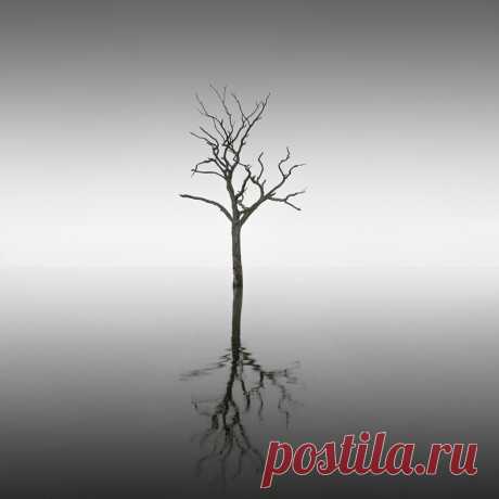 30 черно-белых фотографий тишины
