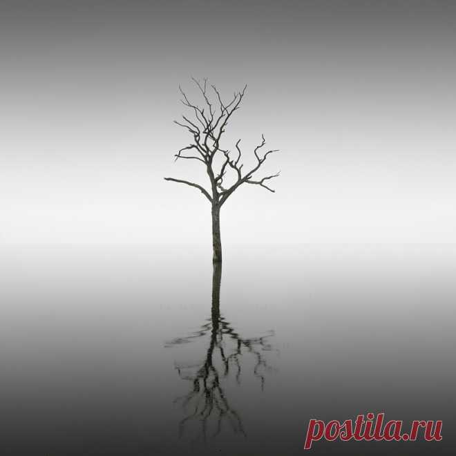 30 черно-белых фотографий тишины
