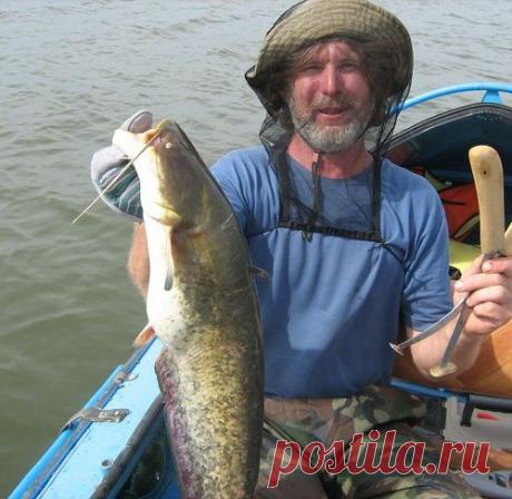 Неразгаданная тайна квока