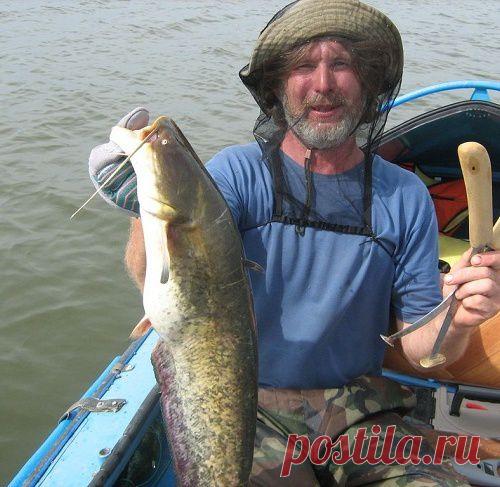 Неразгаданная тайна квока