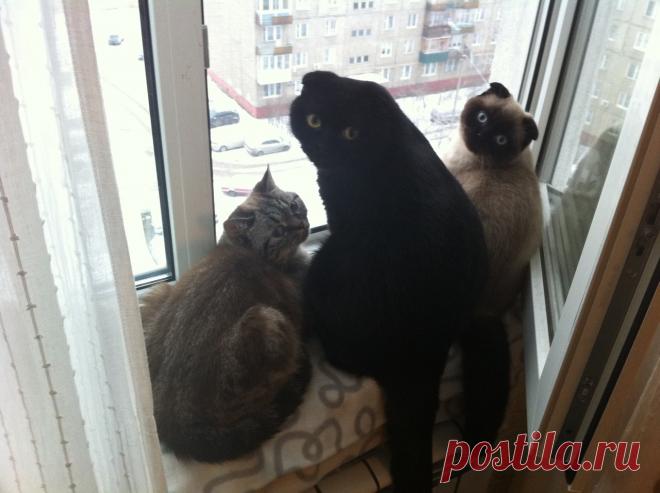 Умный дом. Полезные советы!