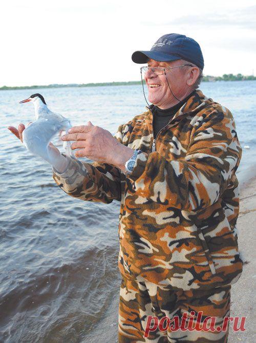 Под воздушным прикрытием