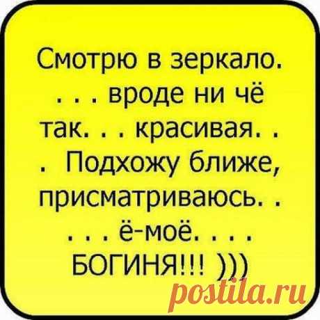 Забавные фразы и веселые выражения! / Болталка / Юмор