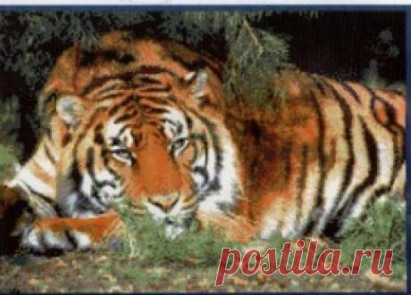 ВЫШИВКА. | Записи в рубрике ВЫШИВКА. | Дневник candra