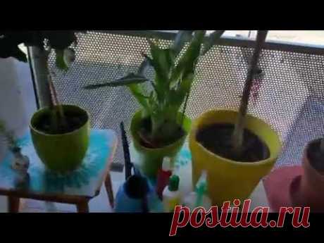 Жизнь в Швейцарии на пенсии