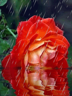 Фото – Google+