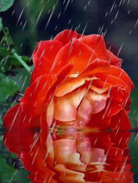 Фото – Google+