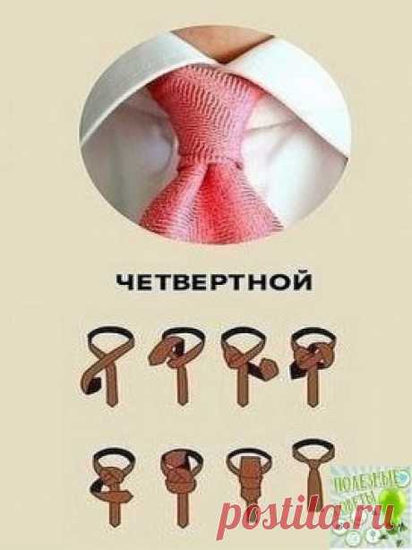 Показываем, как можно завязать галстук, если вы вдруг ещё не умеете или вам надоел простой галстучный узел.
Сохраните, пригодится!