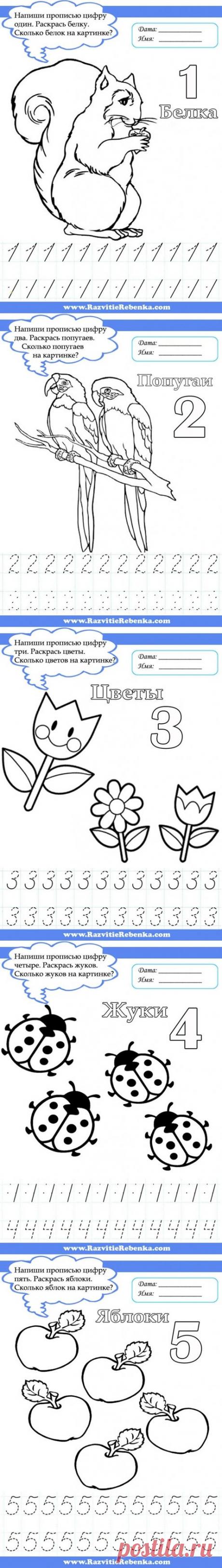 Цифры прописью