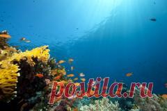 Сегодня 08 июня отмечается 