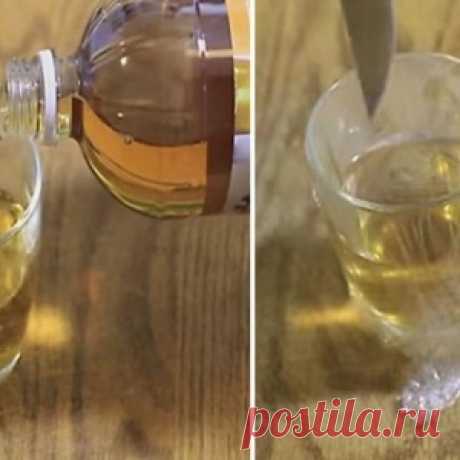 Распылите это в вашем доме, и вы избавитесь от мух, тараканов или комаров всего за 2 часа