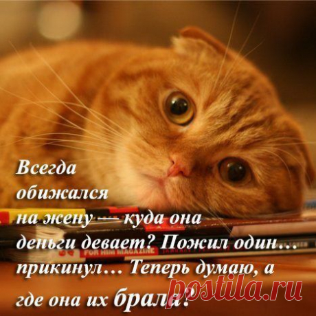 fotostrana.ru/usernews/best/?from=usernews.topmail&amp;eRf=2158&amp;h=7321b4d0f849487