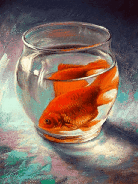 Yalcin Biricik – Google+