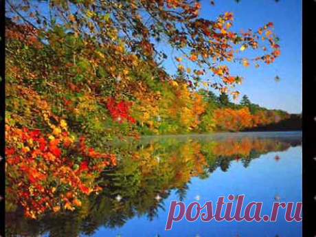 Дмитрий Королев - Околдовала ты меня