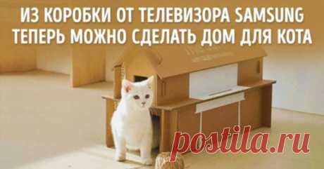 12 уникальных акций от разных брендов, за которые хочется сказать спасибо . Милая Я