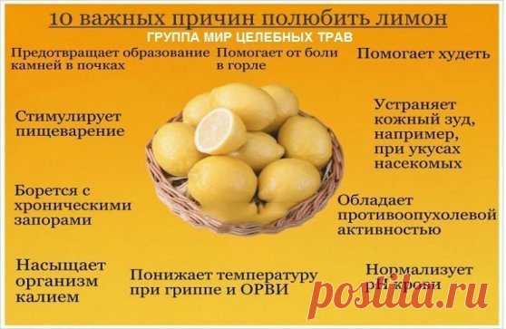 Лечение лимоном! Проверенные рецепты.