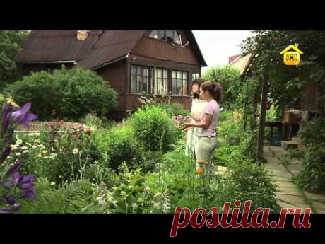 Сказочный ландшафт своими руками // FORUMHOUSE