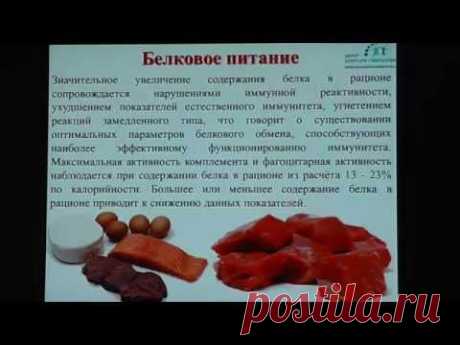 Питание и иммунитет. Поляков А.И., клинический психолог.
