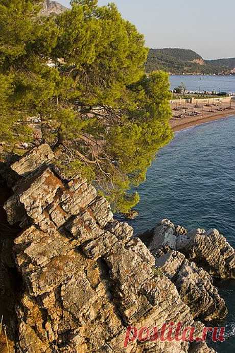Wilde beach