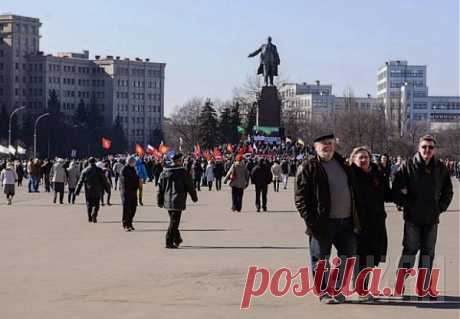 В Харькове пикетировали консульства, силовиков и органы местной власти&amp;nbsp; &amp;nbsp;Выживи сам