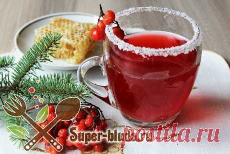 Клюквенный морс рецепт с калиной и медом